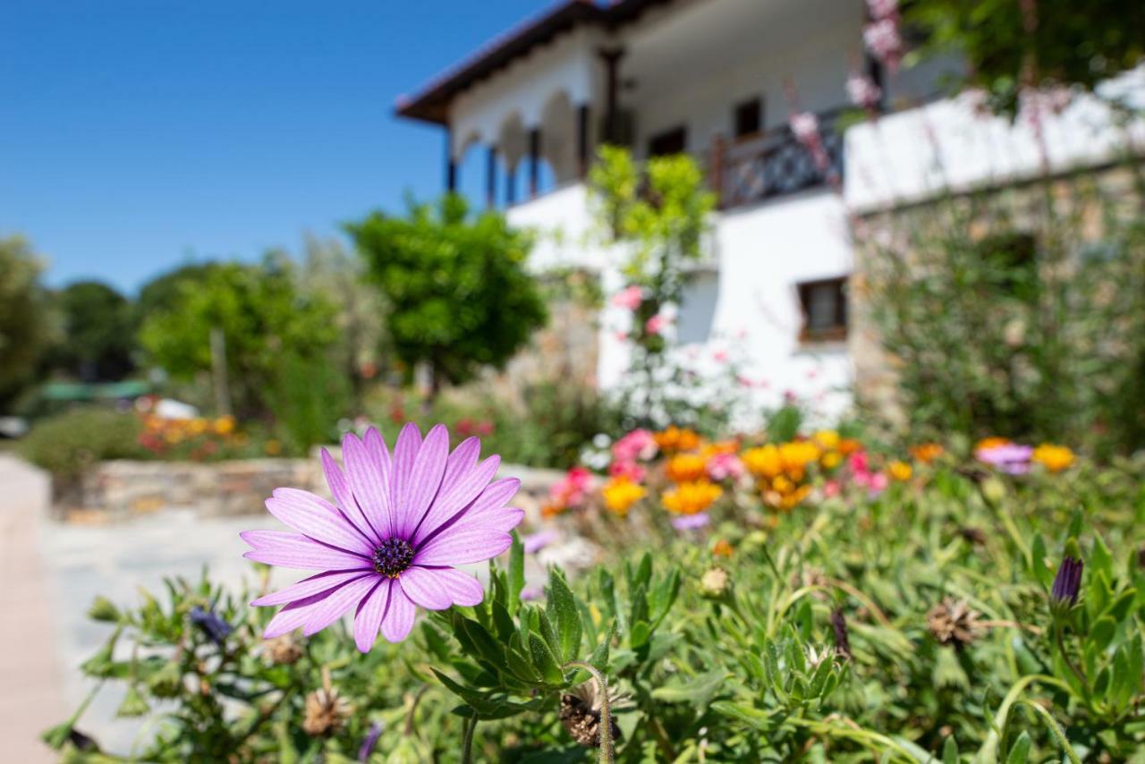 Garden House Psarogiannis Apartamento Vourvourou Exterior foto