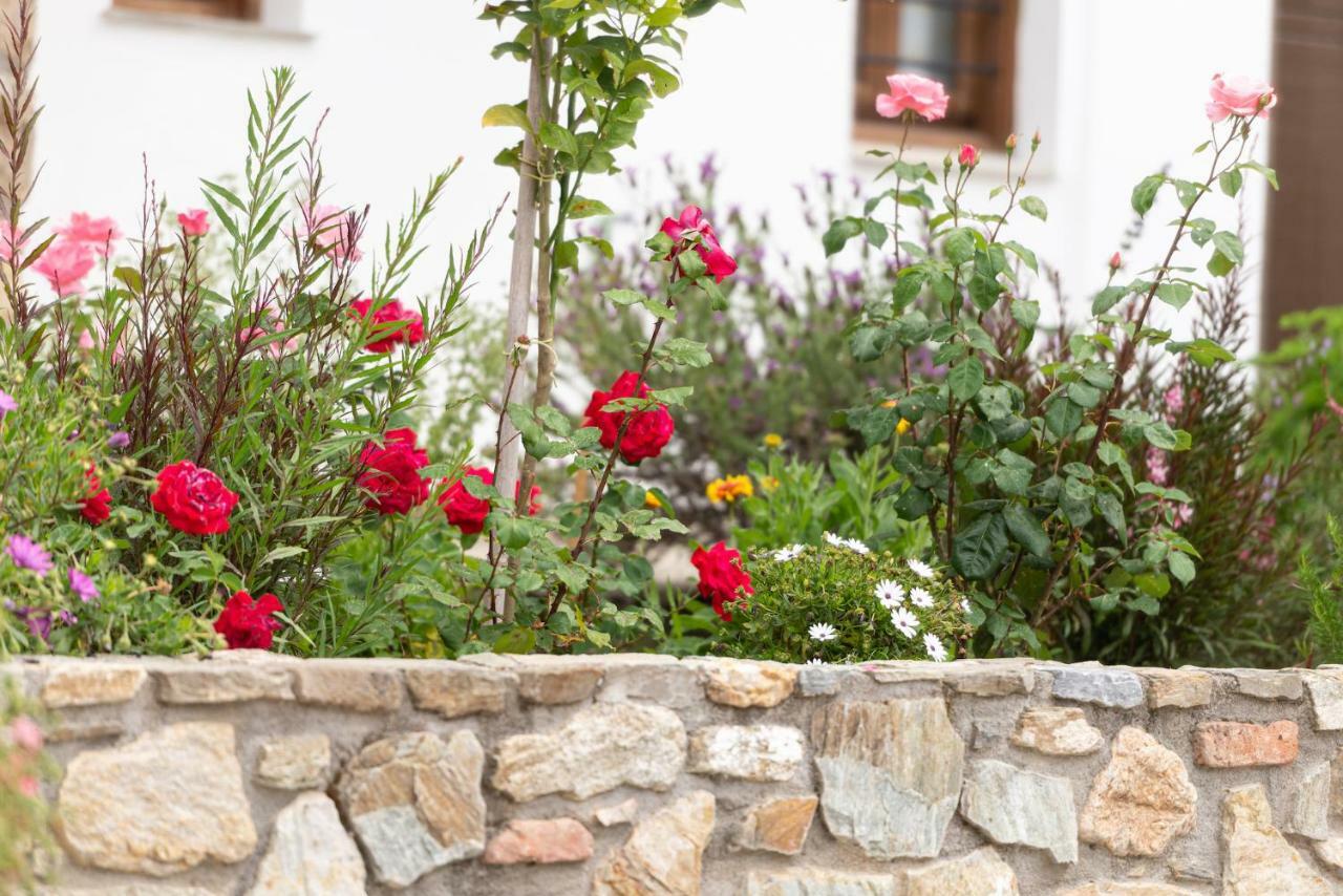 Garden House Psarogiannis Apartamento Vourvourou Exterior foto