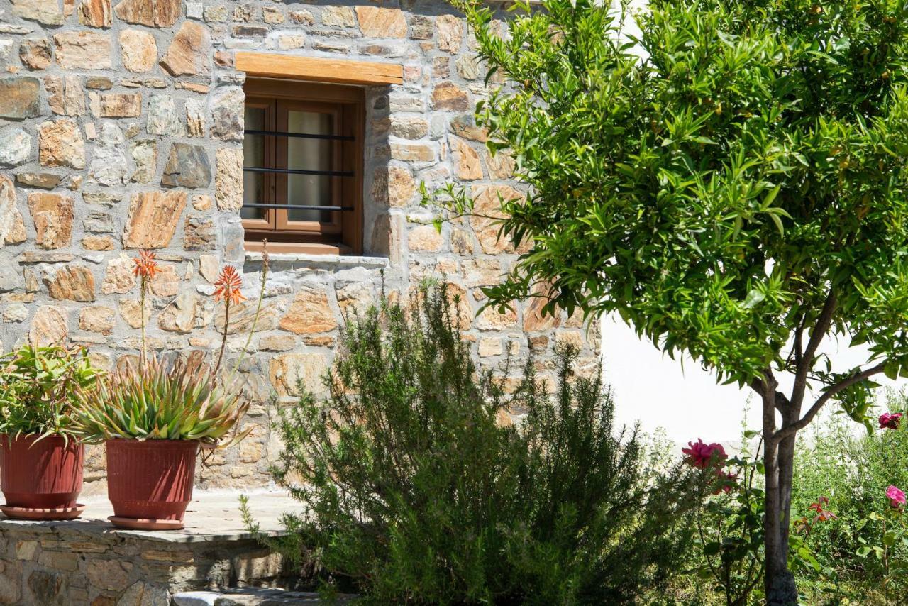 Garden House Psarogiannis Apartamento Vourvourou Exterior foto